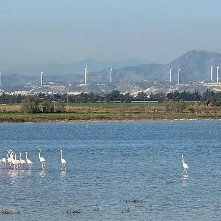 Yialos Village By Cybarco Larnaca