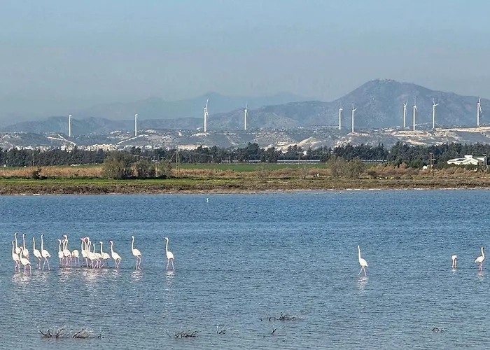 Yialos Village By Cybarco Larnaca